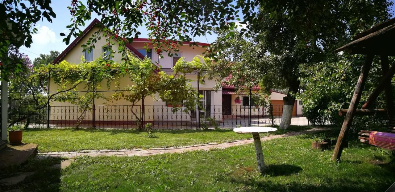 Гостевой дом Coroni Residence Брашов-17