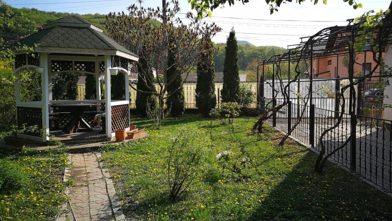 Гостевой дом Coroni Residence Брашов-22
