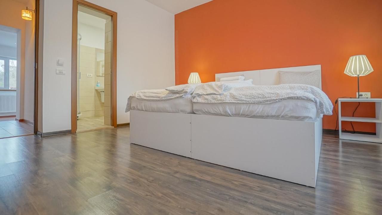 Гостевой дом Coroni Residence Брашов-30