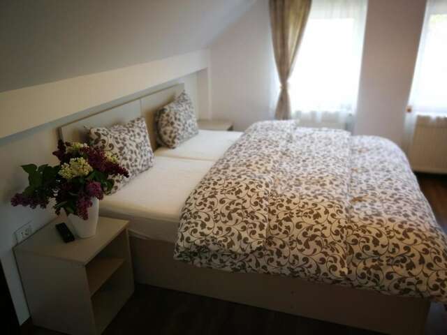 Гостевой дом Coroni Residence Брашов-18