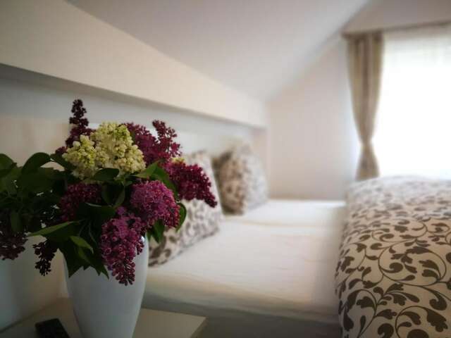 Гостевой дом Coroni Residence Брашов-19