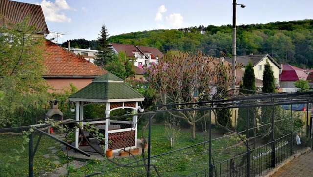 Гостевой дом Coroni Residence Брашов-4